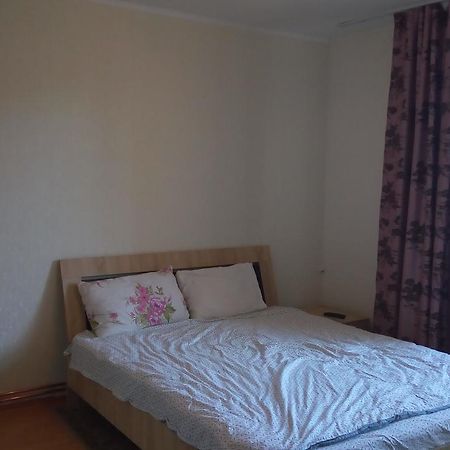 Central Apartment 2 تيميشورا المظهر الخارجي الصورة